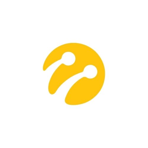 Logo 1